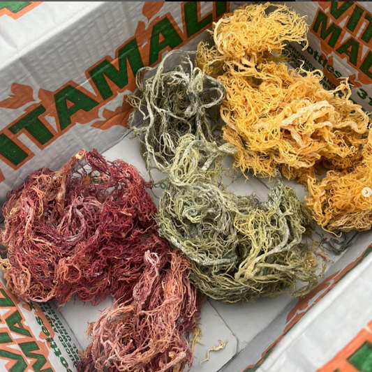Sea Moss (Raw 1Lb)